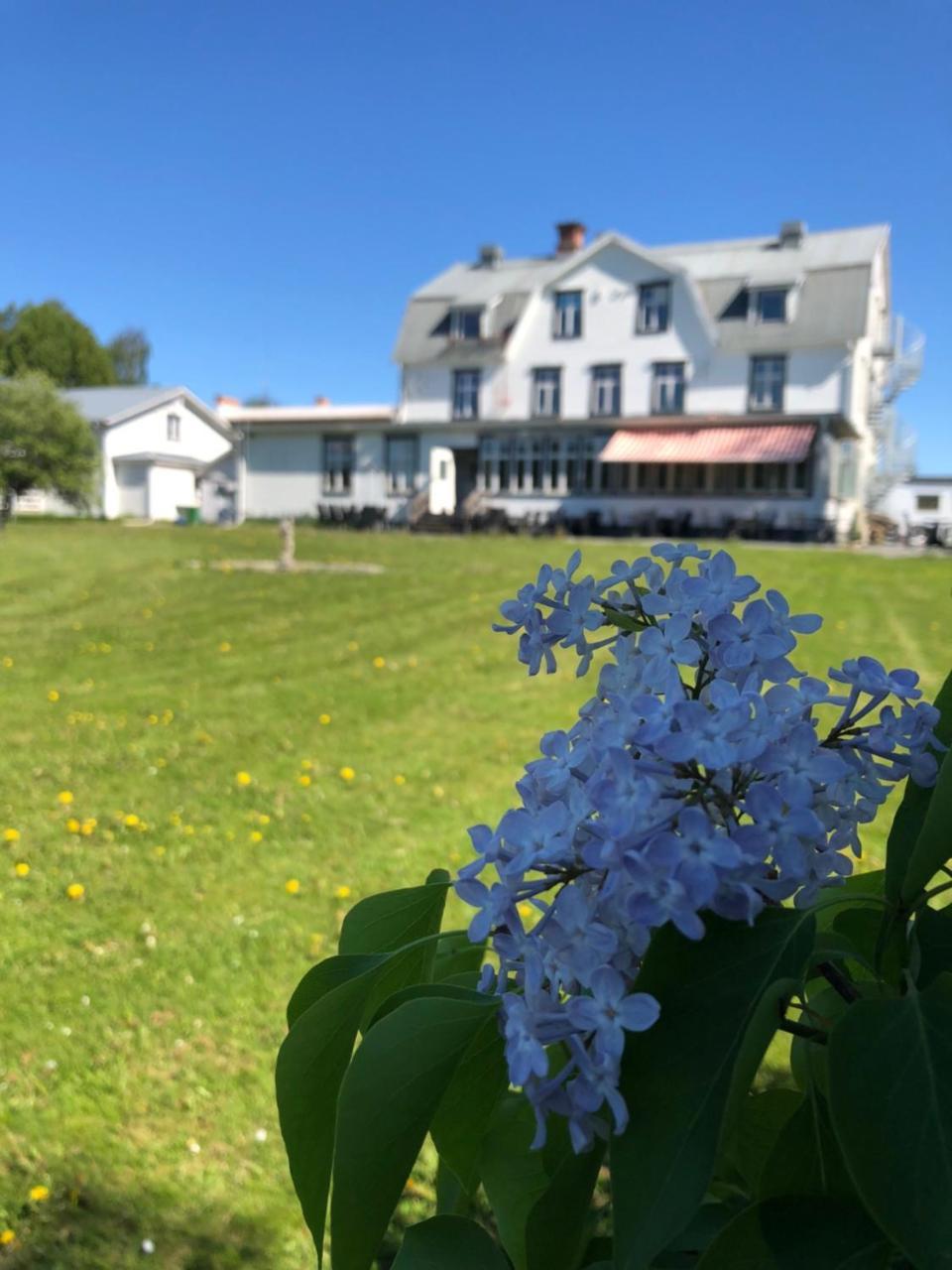 Hotell Restaurang Naemforsen Näsåker 외부 사진